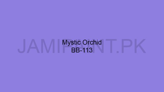 Brighto Boom Mystic Orchid BB-113
