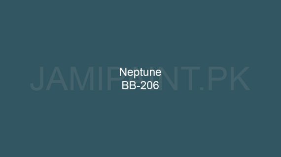Brighto Boom Neptune BB-206