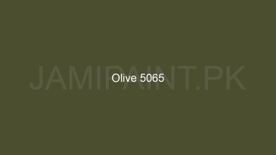 Brighto Wall Shield Olive 5065
