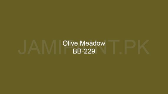 Brighto Boom Olive Meadow BB-229