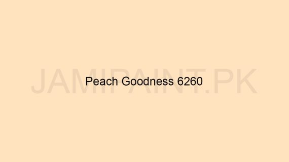 Brighto Plastic Emulsion Peach Goodness 6260