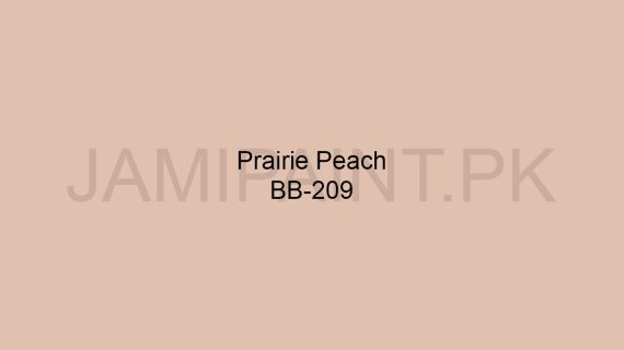 Brighto Boom Prairie Peach BB-204