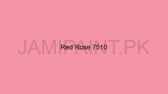 Brighto All Weather Red-Rose-7510