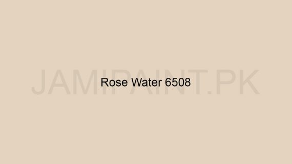 Brighto Plastic Emulsion Rose Water 6508