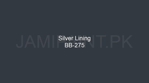 Brighto Boom Silver Lining BB-275