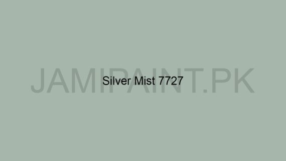 Brighto All Weather Silver-Mist-7727