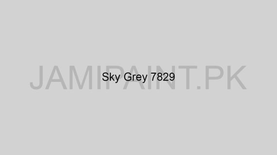 Brighto All Weather Sky-Grey-7829