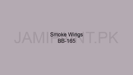 Brighto Boom Smoke Wings BB-165