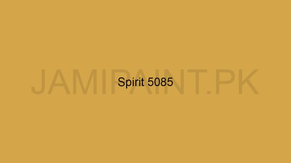 Brighto Wall Shield Spirit 5085