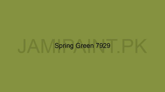 Brighto All Weather Spring-Green-7929