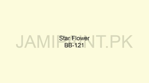 Brighto Boom Star Flower BB-121