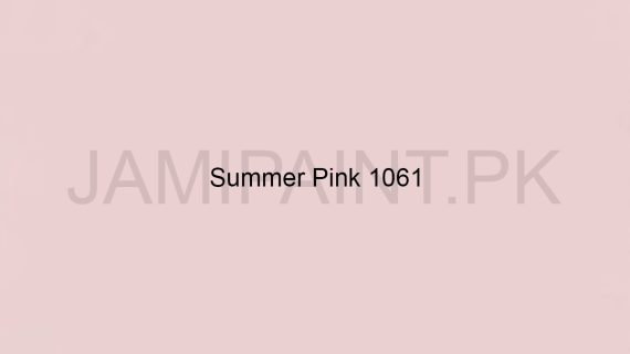 Brighto Wall Emulsion Summer Pink 1061