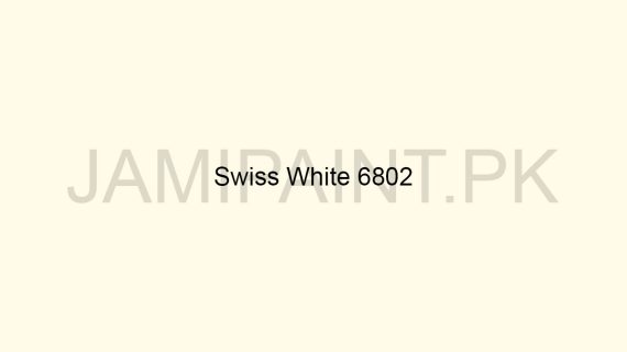 Brighto Plastic Emulsion Swiss White 6802