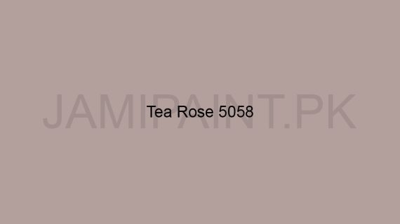 Brighto Wall Shield Tea Rose 5058