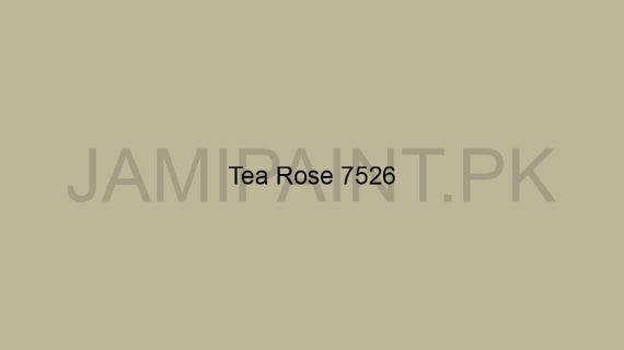 Brighto All Weather Tea-Rose-7526