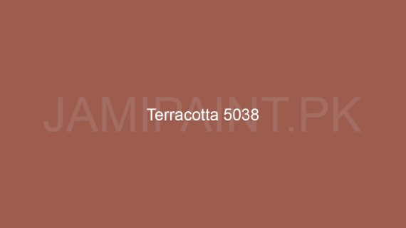 Brighto Wall Shield Teracotta 5038