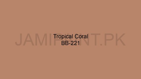 Brighto Boom Tropical Coral BB-221