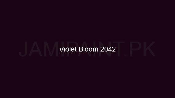 Brighto Stain Free Violet Bloom 2042