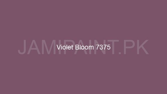 Brighto All Weather Violet-Bloom-7375
