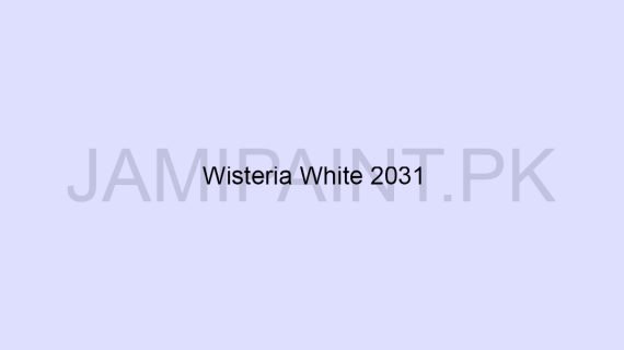 Brighto Stain Free Whisteria-White-2031