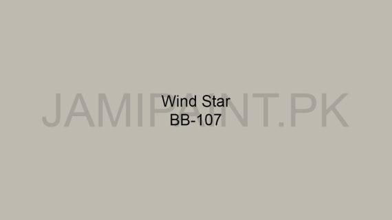 Brighto Boom Wind Star BB-107