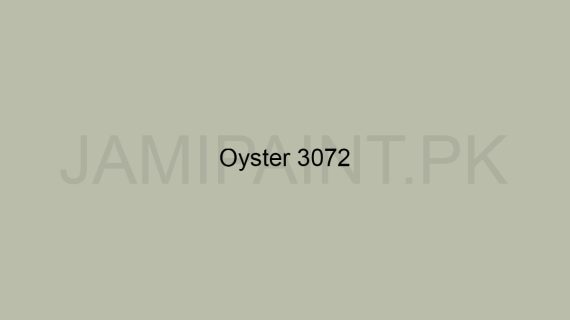 Brighto Synthetic Enamel oyster 3072