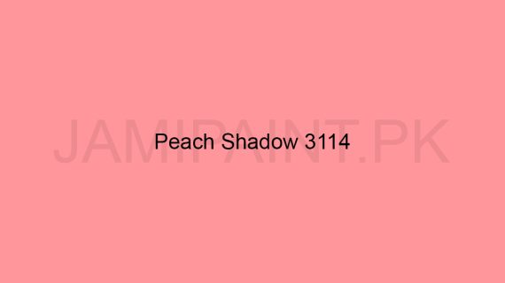 Brighto Synthetic Enamel peach shadow 3114