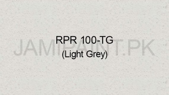 Ressichem Ressi PlastoRend 100-TG (Light Grey)