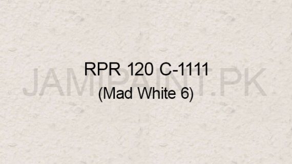 Ressichem Ressi PlastoRend 120 C-1111 (Mad White 6)