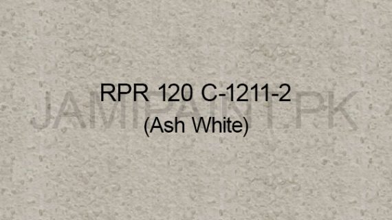 Ressichem Ressi PlastoRend 120 C-1211-2 (Ash White)