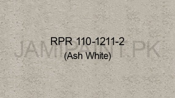 Ressichem Ressi PlastoRend 110-1211-2 (Ash White)
