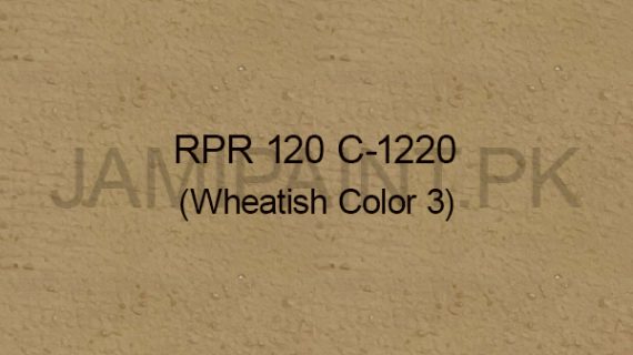 Ressichem Ressi PlastoRend 120 C-1220 (Wheatish Colour 3)