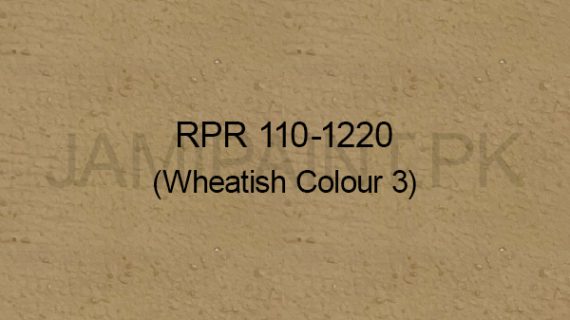 Ressichem Ressi PlastoRend 110-1220 (Wheatish Color 3)