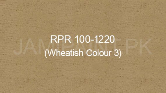 Ressichem Ressi PlastoRend 100-1220 (Wheatish Colour 3)