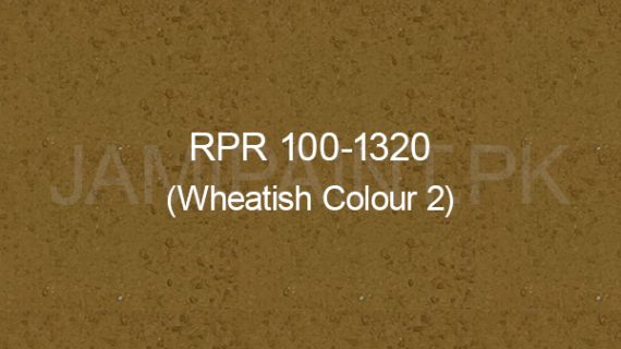 Ressichem Ressi PlastoRend 100-1320 (Wheatish Colour 2)