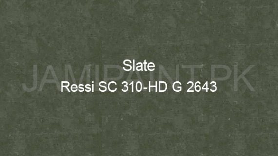 Ressichem Ressi SC 310-HD G 2643 (Slate)