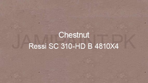 Ressichem Ressi SC 310-HD B 4810X4 (Chestnut)