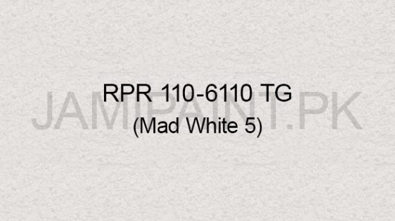 Ressichem Ressi PlastoRend 6110 TG (Mad White 5)