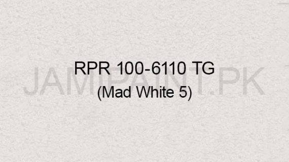 Ressichem Ressi PlastoRend 100-6110 TG (Mad White 5)