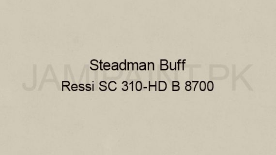 Ressichem Ressi SC 310-HD B 8700 (Steadman Buff)