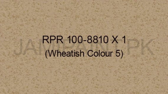 Ressichem Ressi PlastoRend 100-8810 X 1 (Wheatish Colour 5)