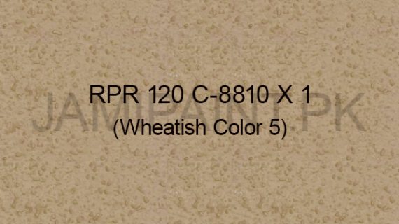 Ressichem Ressi PlastoRend 120 C-8810 X1 (Wheatish Colour 5)