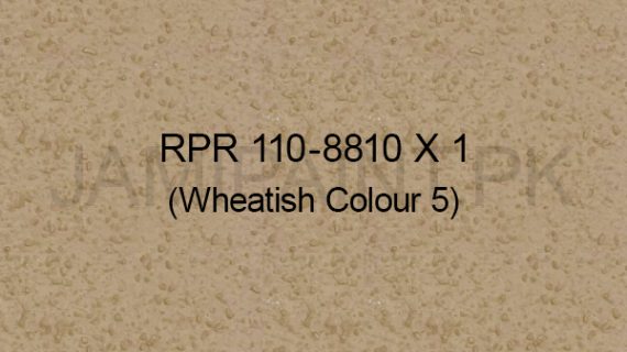 Ressichem Ressi PlastoRend 110-8810 X 1 (Wheatish Colour 5)