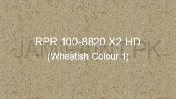 Ressichem Ressi PlastoRend 100-8820 X2 HD (Wheatish Colour 1)