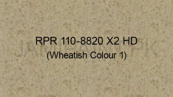Ressichem Ressi PlastoRend 110-8820 X 2 HD (Wheatish Color 1)