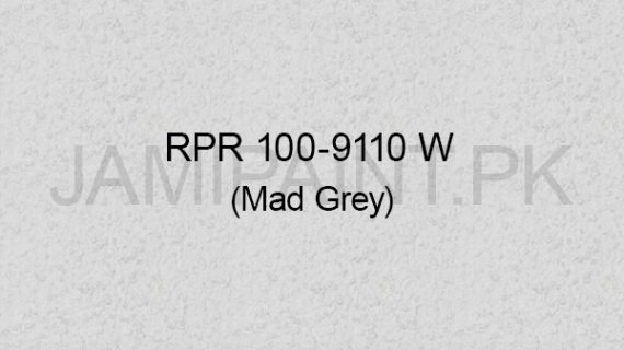 Ressichem Ressi PlastoRend 100-9110 W (Mad Grey)