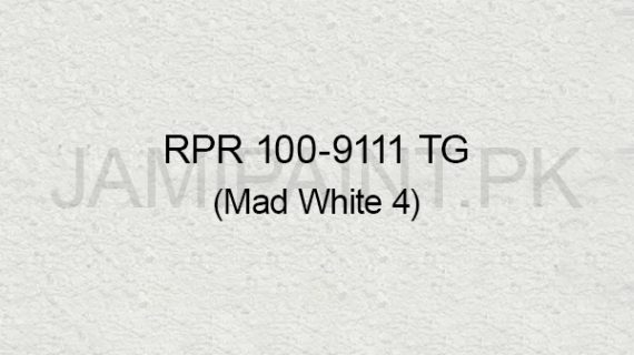 Ressichem Ressi PlastoRend 100-9111 TG (Mad White 4)