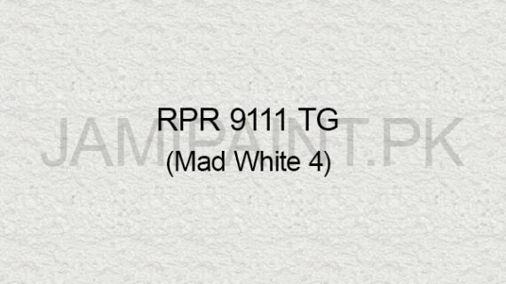 Ressichem Ressi PlastoRend 9111 TG (Mad White 4)