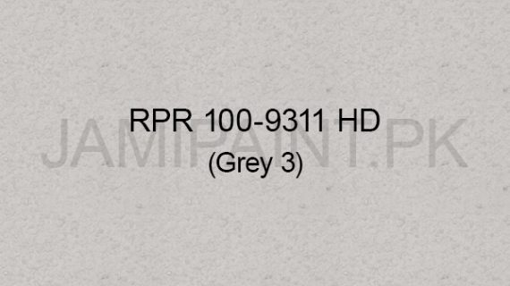 Ressichem Ressi PlastoRend 100-9311 HD (Grey 3)