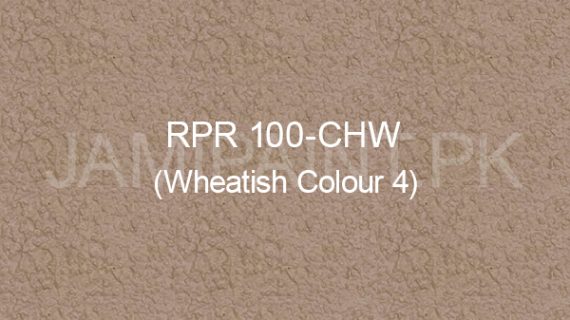 Ressichem Ressi PlastoRend 100-CHW (Wheatish Colour 4)